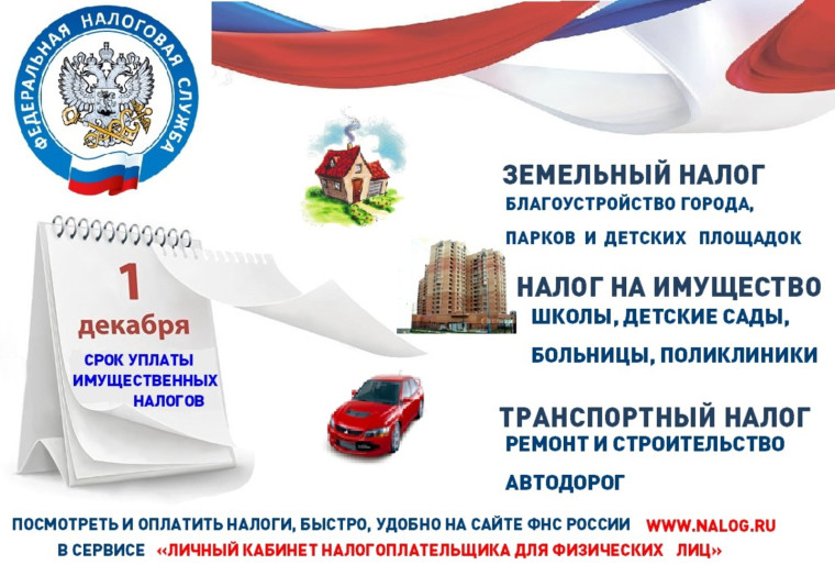 Сроки уплаты налогов. Сроки уплаты налогов.